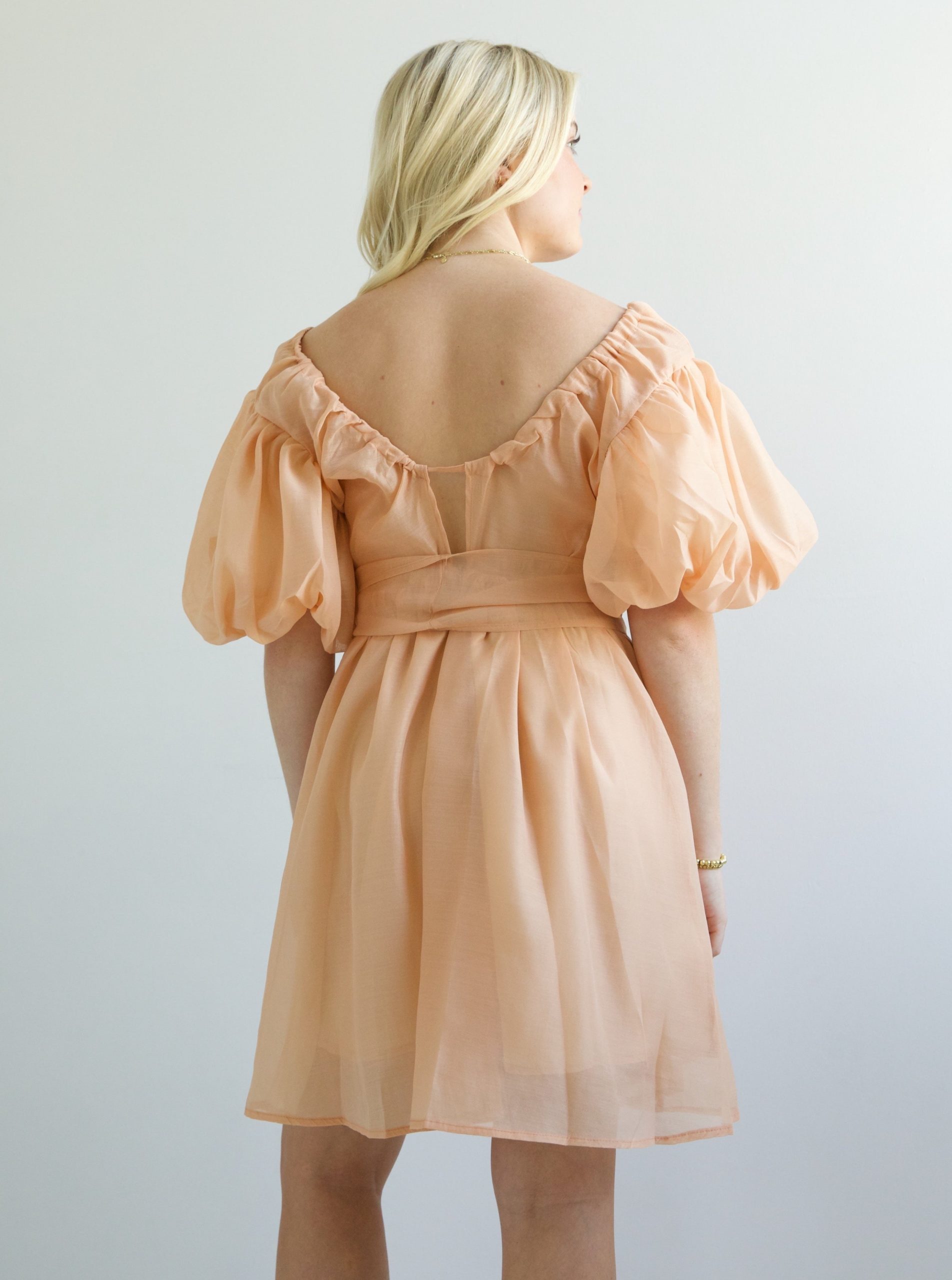 Lori Puff Sleeve Dress - Image 3