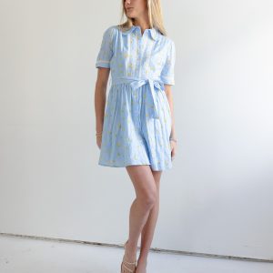 Madi Collared Mini Dress